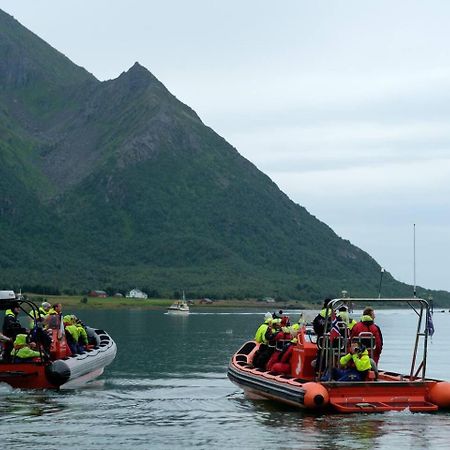 Leilighet Med Fantastisk Utsikt Henningsvær Esterno foto